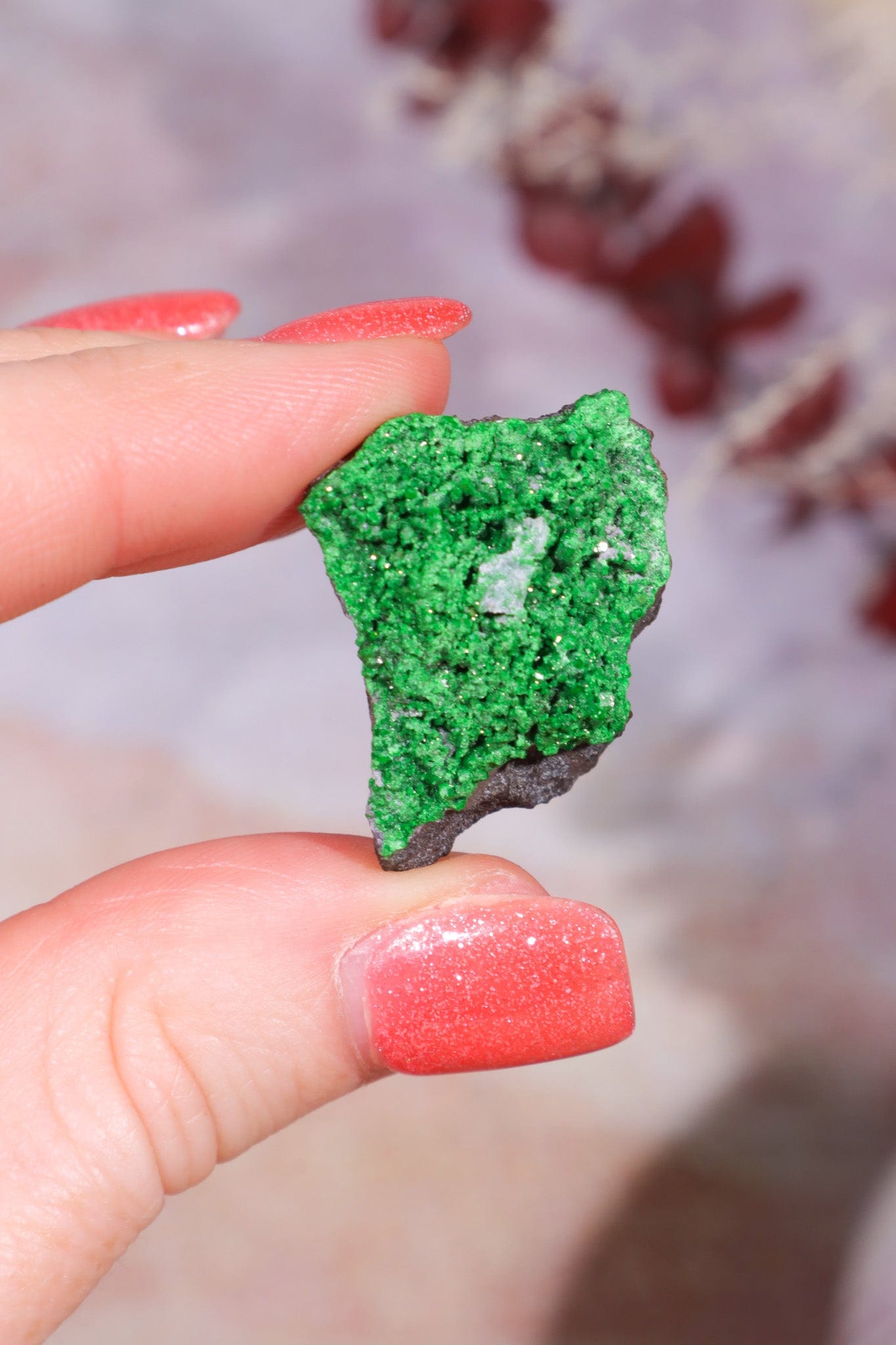 Uvarovite Garnet Specimen 9.1gr Specimens Tali & Loz Crystals