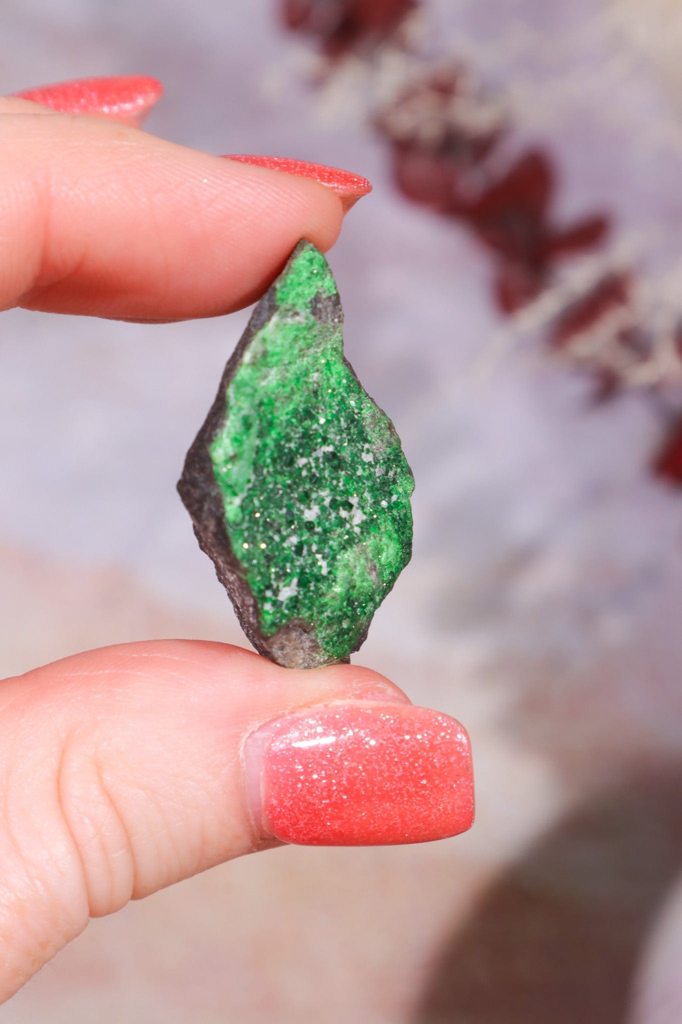 Uvarovite Garnet Specimen 9.7g Specimens Tali & Loz Crystals