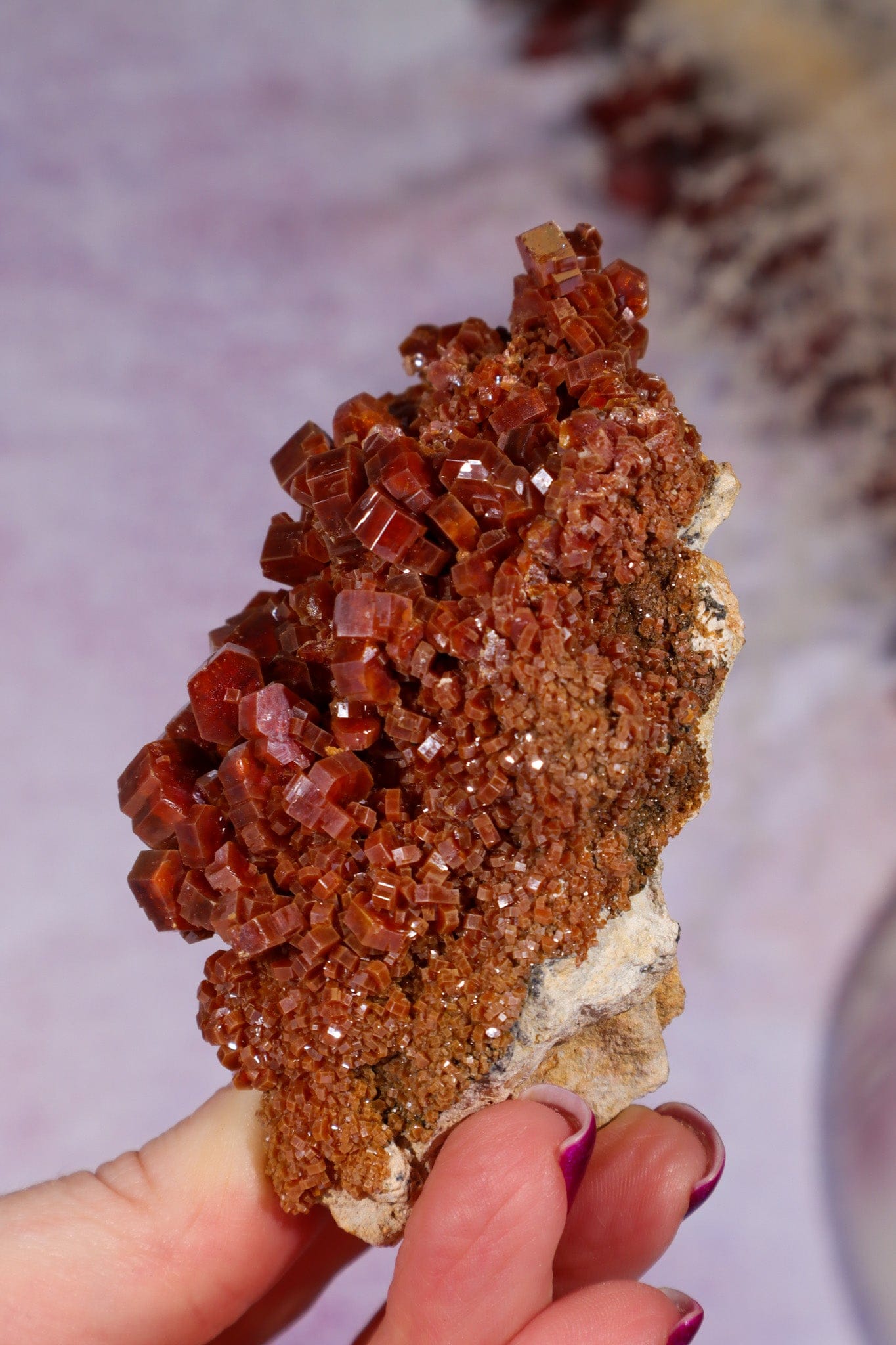 Vanadinite Specimen 9cm, Morocco Specimen Tali & Loz Crystals