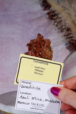 Vanadinite Specimen 9cm, Morocco Specimen Tali & Loz Crystals