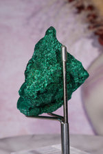 Velvet Malachite 7cm, DRC Minerals Tali & Loz Crystals