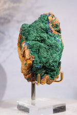 Velvet Malachite with Azurite Specimen 405gr - Tali & Loz Crystals