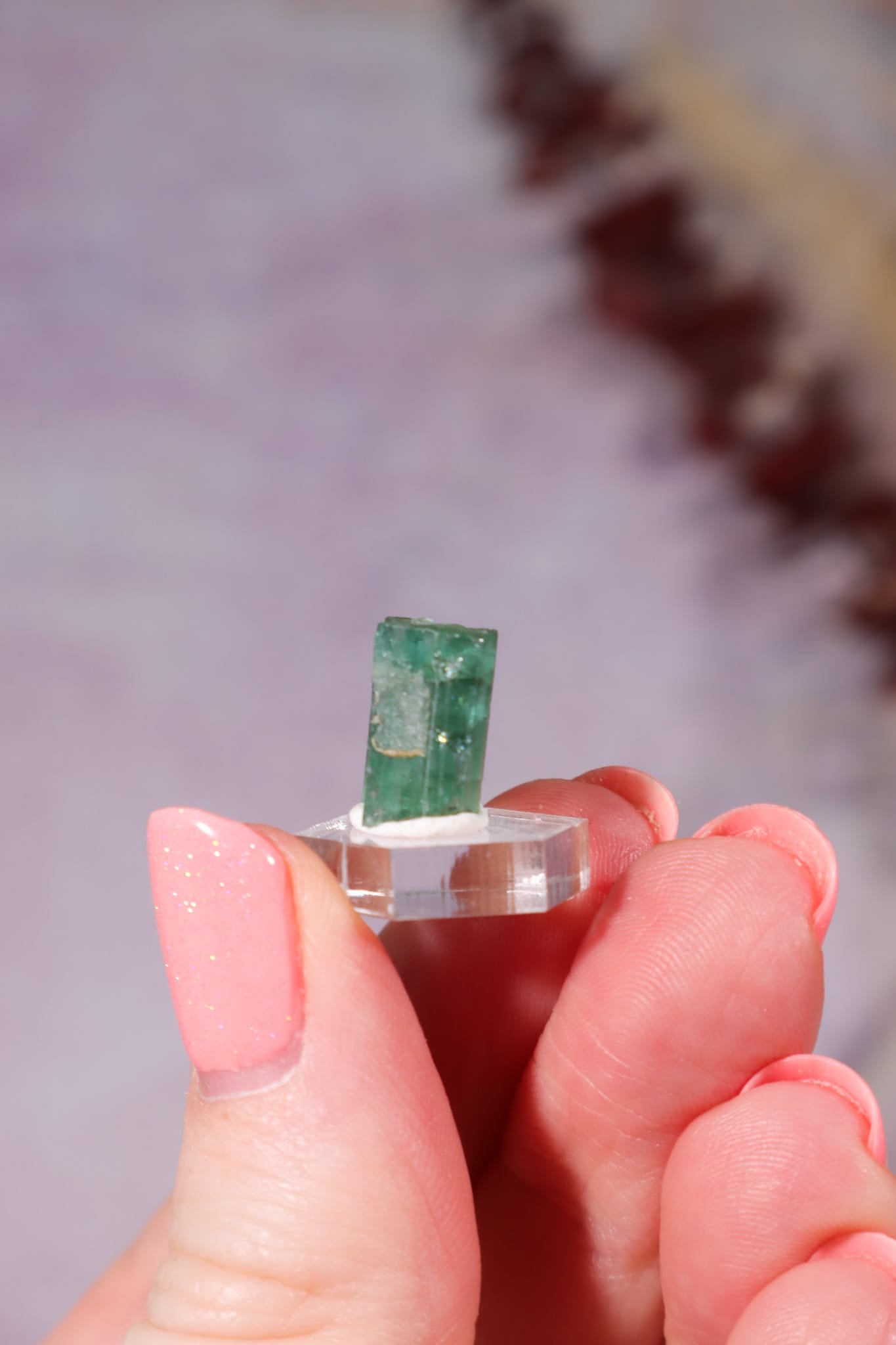 Verdelite Green Tourmaline Crystal | 11mm | Brazil Mineral Specimen Tali & Loz Crystals