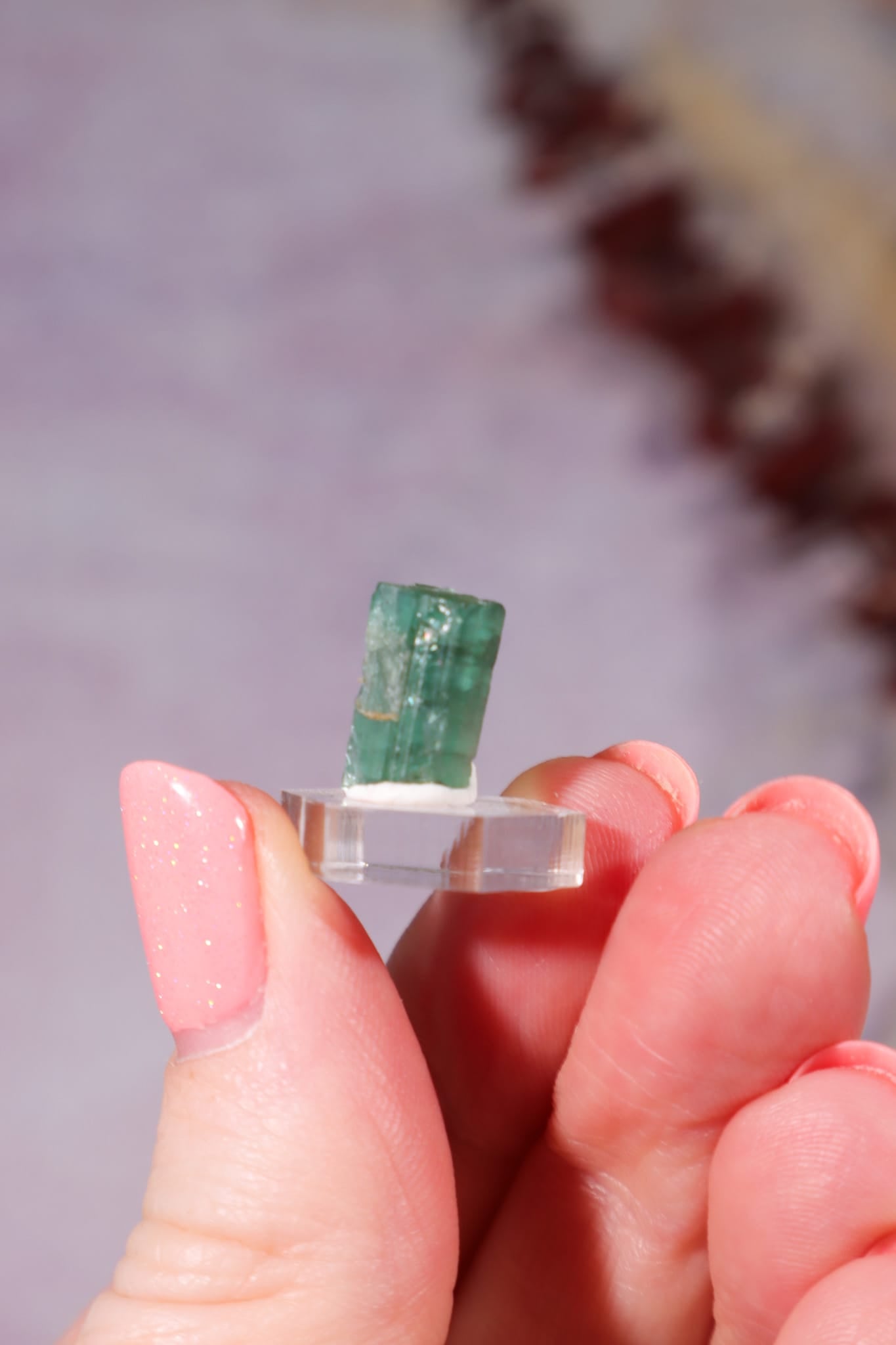 Verdelite Green Tourmaline Crystal | 11mm | Brazil Mineral Specimen Tali & Loz Crystals