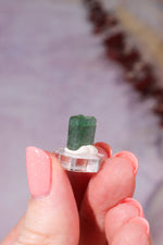 Verdelite Green Tourmaline Crystal | 11mm | Brazil Mineral Specimen Tali & Loz Crystals