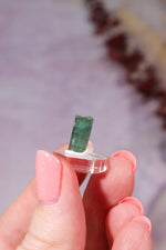 Verdelite Green Tourmaline Crystal | 11mm | Brazil Mineral Specimen Tali & Loz Crystals