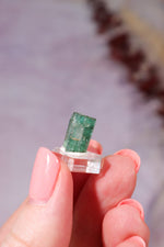 Verdelite Green Tourmaline Crystal | 11mm | Brazil Mineral Specimen Tali & Loz Crystals