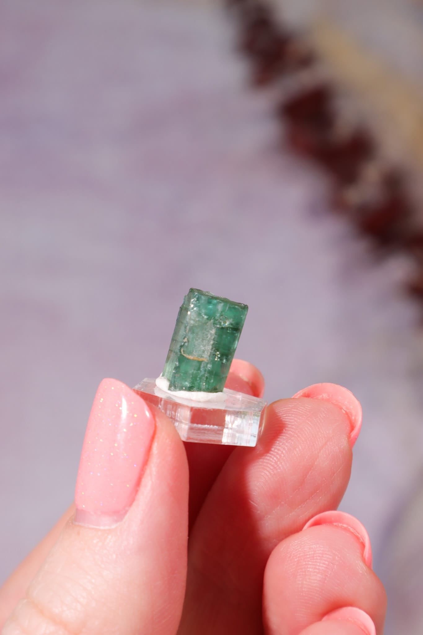 Verdelite Green Tourmaline Crystal | 11mm | Brazil Mineral Specimen Tali & Loz Crystals