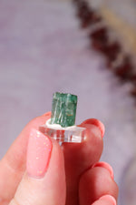 Verdelite Green Tourmaline Crystal | 11mm | Brazil Mineral Specimen Tali & Loz Crystals