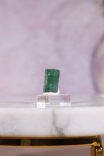 Verdelite Green Tourmaline Crystal | 11mm | Brazil Mineral Specimen Tali & Loz Crystals