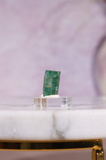 Verdelite Green Tourmaline Crystal | 11mm | Brazil Mineral Specimen Tali & Loz Crystals
