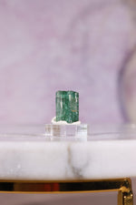 Verdelite Green Tourmaline Crystal | 11mm | Brazil Mineral Specimen Tali & Loz Crystals