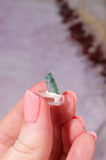 Verdelite Green Tourmaline Crystal | 12mm | Brazil Mineral Specimen Tali & Loz Crystals