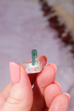 Verdelite Green Tourmaline Crystal | 12mm | Brazil Mineral Specimen Tali & Loz Crystals