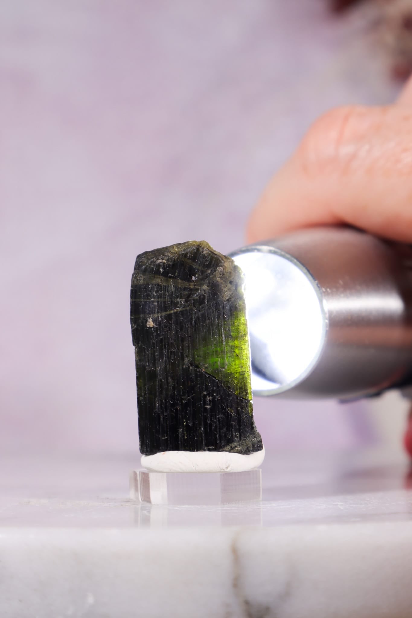 Verdelite Green Tourmaline | Crystal | 27mm | Brazil Minerals Tali & Loz Crystals