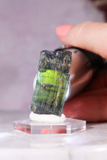Verdelite Green Tourmaline | Crystal | 33mm | Brazil Minerals Tali & Loz Crystals
