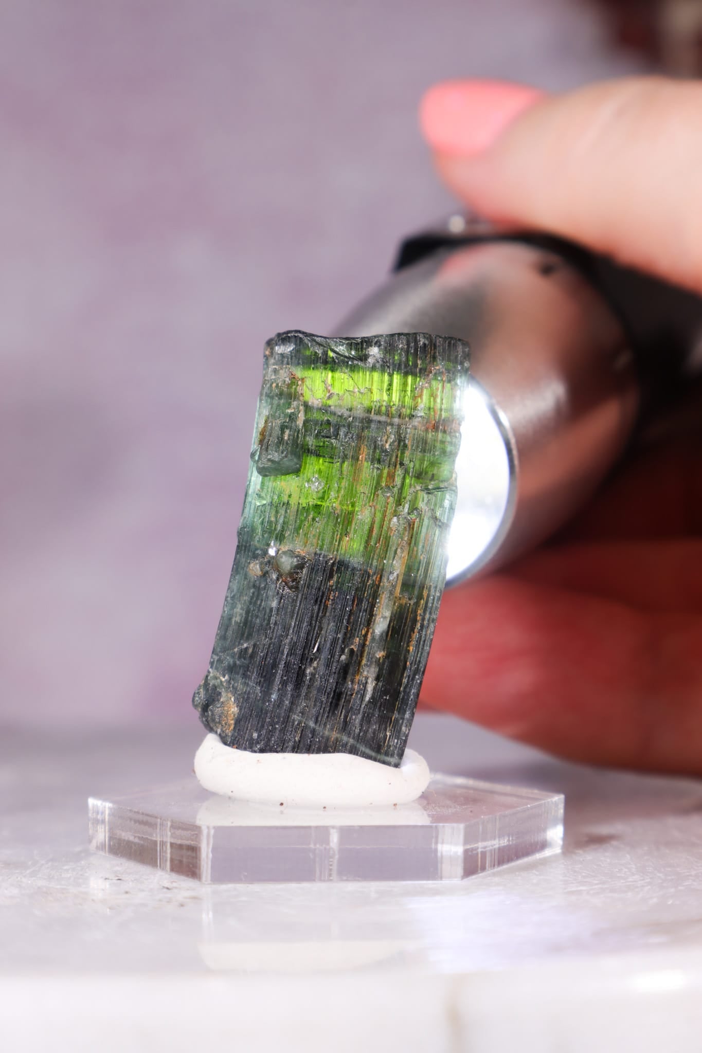 Verdelite Green Tourmaline | Crystal | 33mm | Brazil Minerals Tali & Loz Crystals