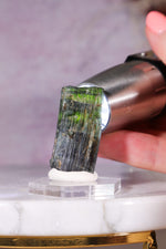 Verdelite Green Tourmaline | Crystal | 33mm | Brazil Minerals Tali & Loz Crystals