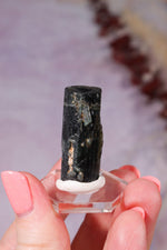 Verdelite Green Tourmaline | Crystal | 33mm | Brazil Minerals Tali & Loz Crystals