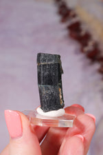 Verdelite Green Tourmaline | Crystal | 33mm | Brazil Minerals Tali & Loz Crystals