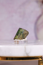 Verdelite Green Tourmaline | Crystal | 36mm | Brazil Minerals Tali & Loz Crystals