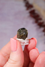 Verdelite Green Tourmaline | Crystal | 36mm | Brazil Minerals Tali & Loz Crystals