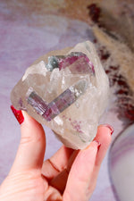 Watermelon Tourmaline in Smokey Quartz Specimen on Stand 15.5cm, Brazil Specimen Tali & Loz Crystals