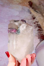 Watermelon Tourmaline in Smokey Quartz Specimen on Stand 15.5cm, Brazil Specimen Tali & Loz Crystals