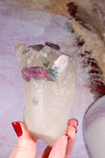 Watermelon Tourmaline in Smokey Quartz Specimen on Stand 15.5cm, Brazil Specimen Tali & Loz Crystals