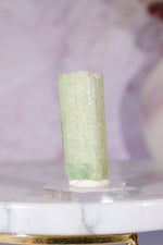 Watermelon Tourmaline Specimen 4cm Specimen Tali & Loz Crystals