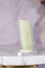 Watermelon Tourmaline Specimen 4cm Specimen Tali & Loz Crystals