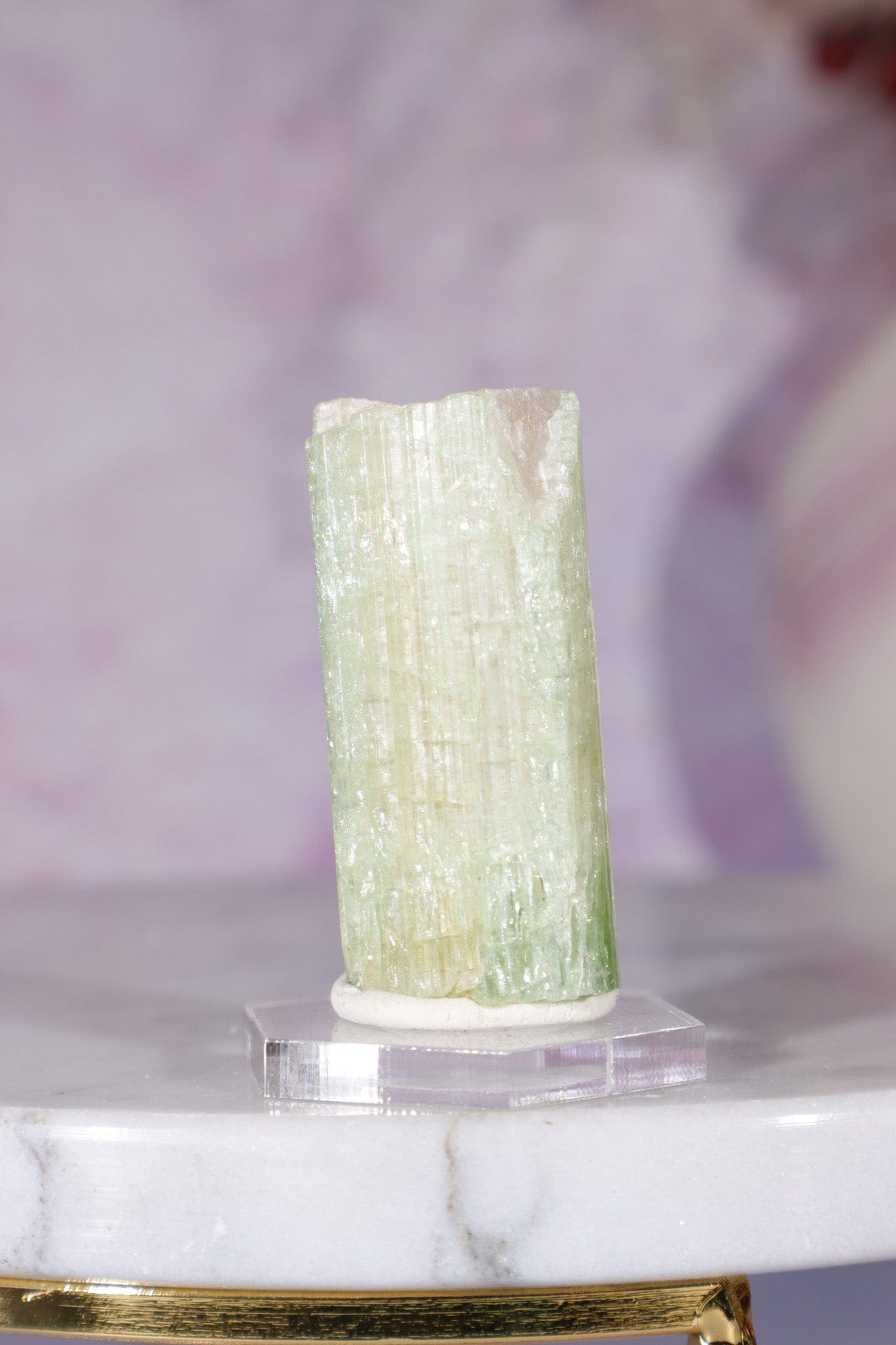 Watermelon Tourmaline Specimen 4cm Specimen Tali & Loz Crystals