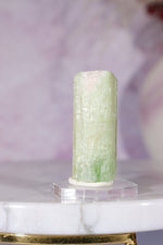 Watermelon Tourmaline Specimen 4cm Specimen Tali & Loz Crystals