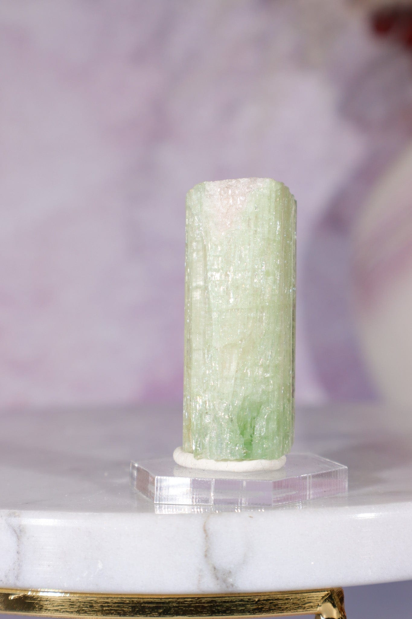 Watermelon Tourmaline Specimen 4cm Specimen Tali & Loz Crystals