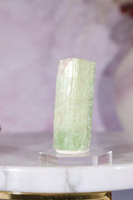 Watermelon Tourmaline Specimen 4cm Specimen Tali & Loz Crystals
