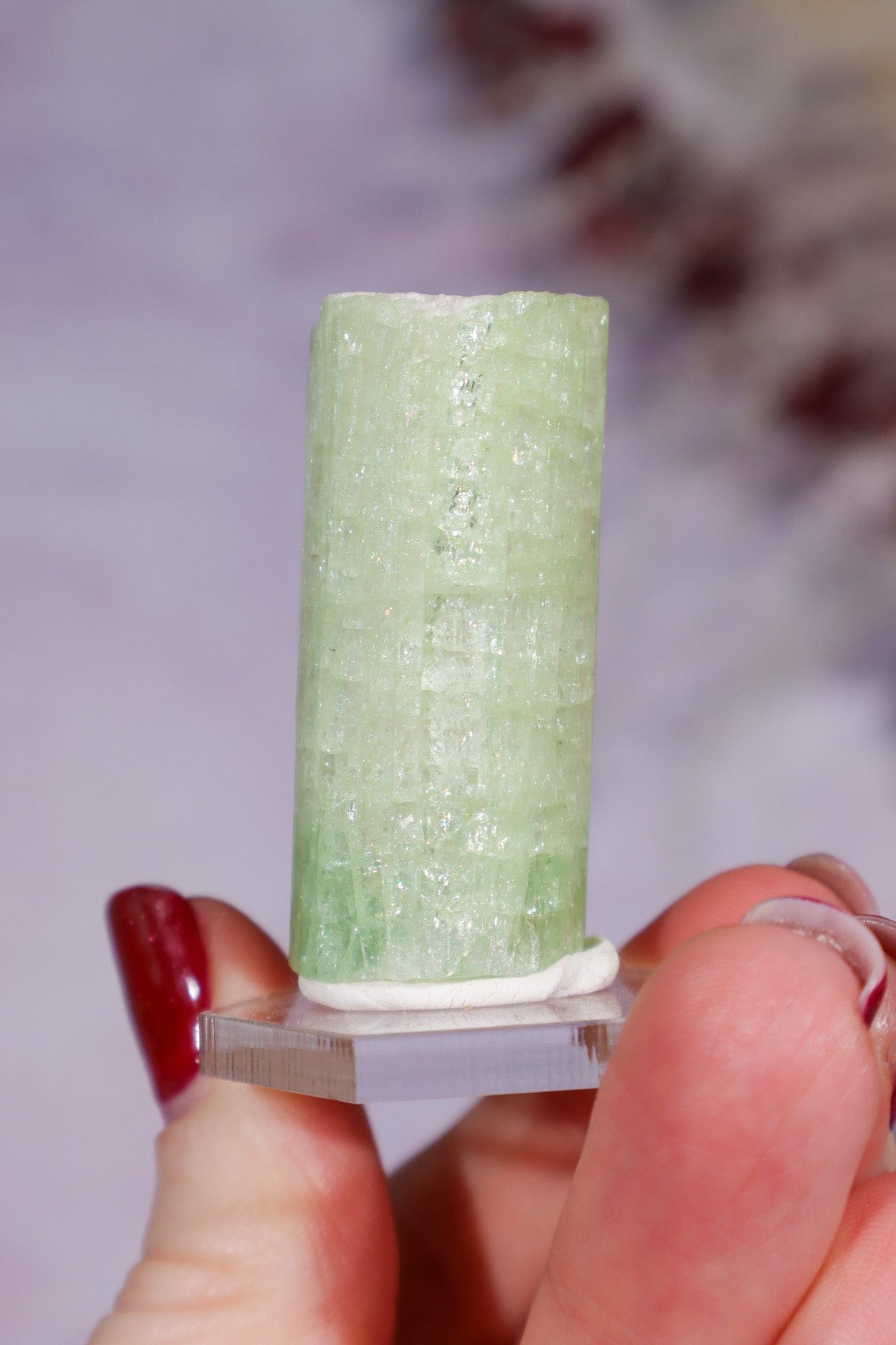 Watermelon Tourmaline Specimen 4cm Specimen Tali & Loz Crystals