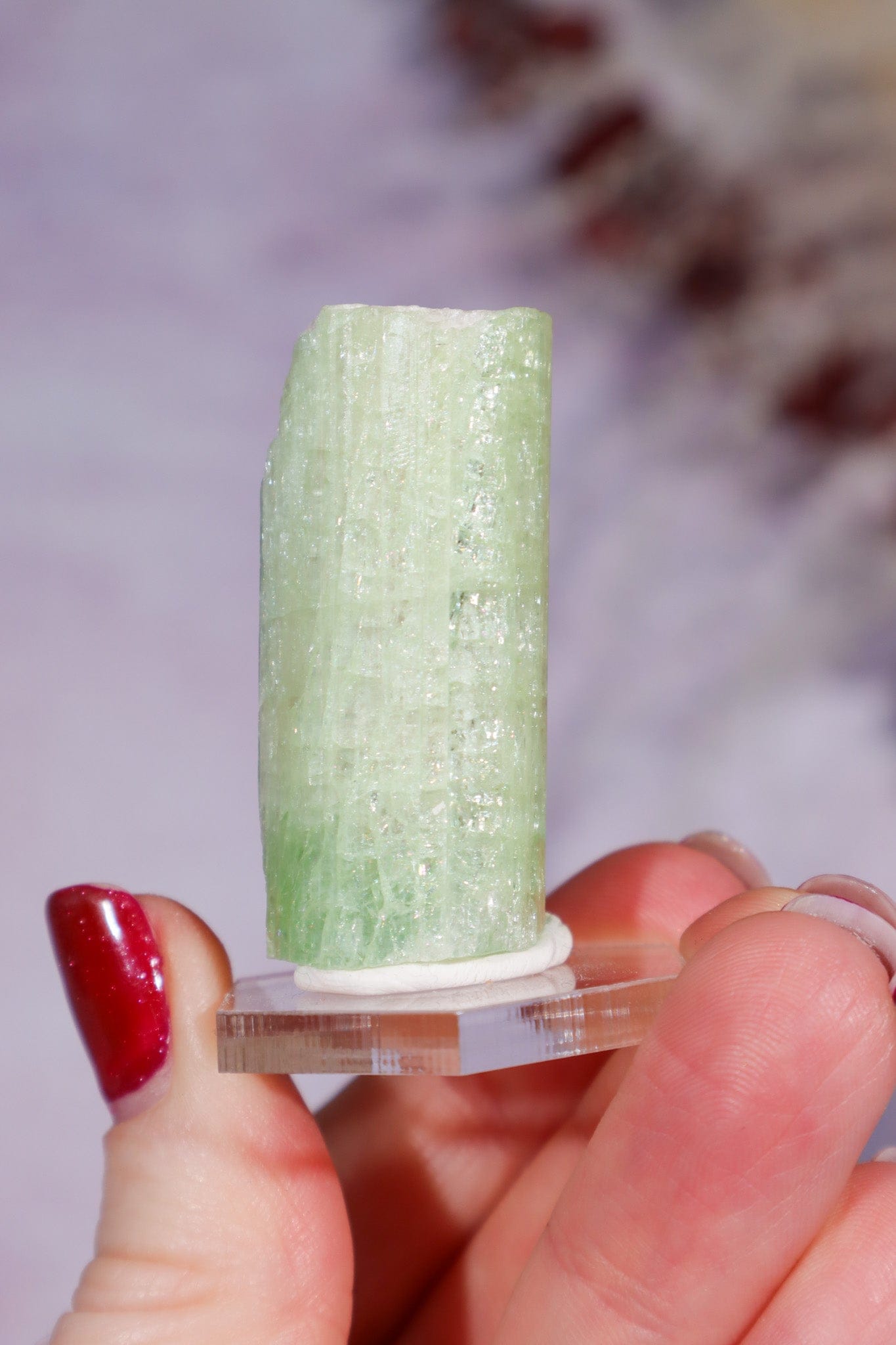 Watermelon Tourmaline Specimen 4cm Specimen Tali & Loz Crystals