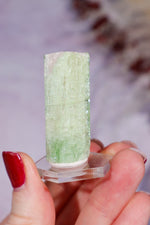 Watermelon Tourmaline Specimen 4cm Specimen Tali & Loz Crystals