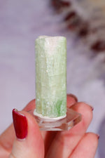 Watermelon Tourmaline Specimen 4cm Specimen Tali & Loz Crystals