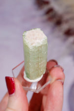 Watermelon Tourmaline Specimen 4cm Specimen Tali & Loz Crystals