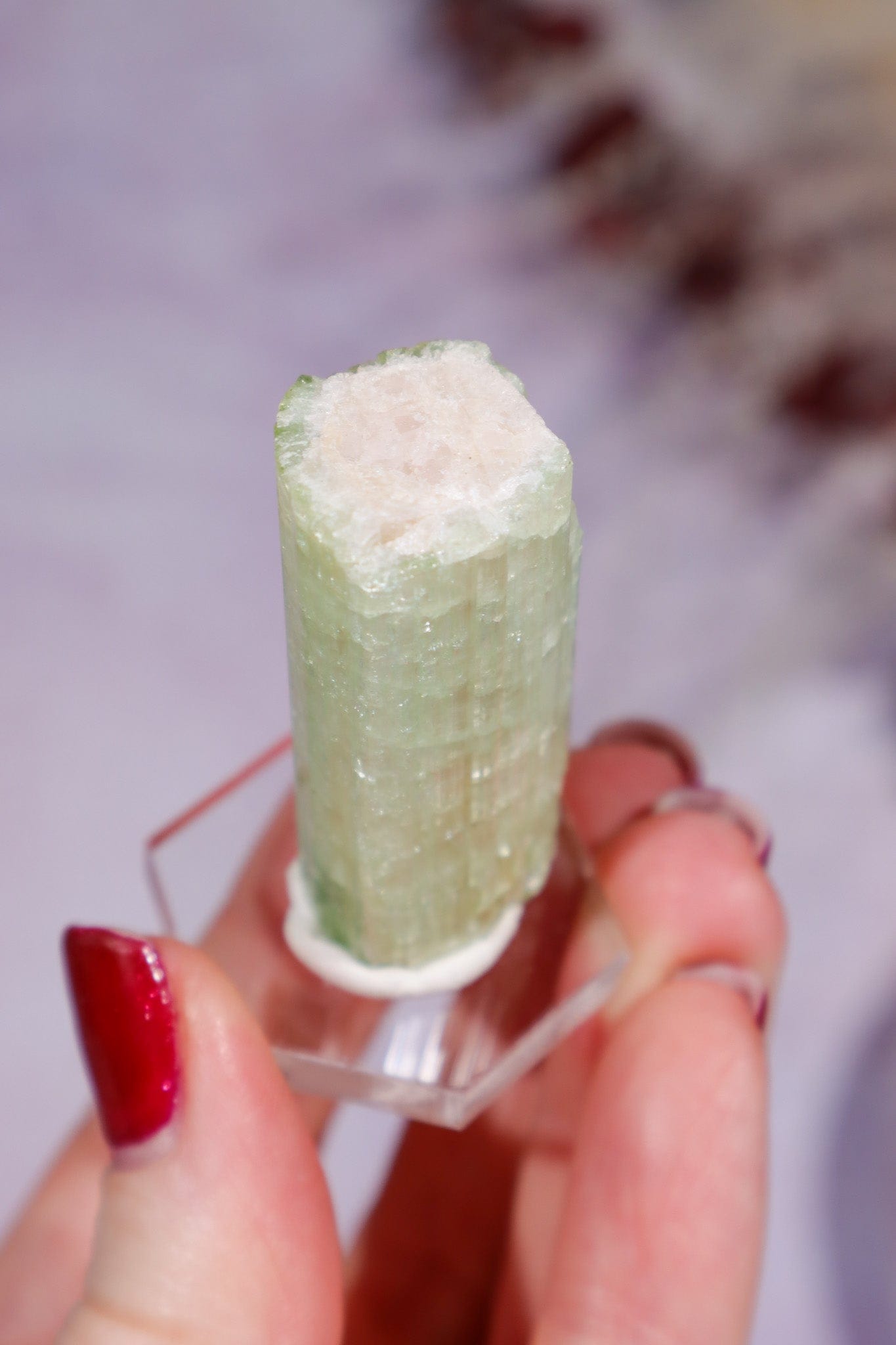 Watermelon Tourmaline Specimen 4cm Specimen Tali & Loz Crystals