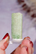Watermelon Tourmaline Specimen 4cm Specimen Tali & Loz Crystals