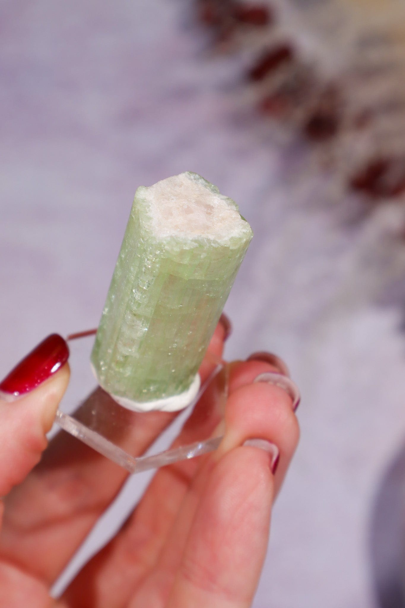 Watermelon Tourmaline Specimen 4cm Specimen Tali & Loz Crystals