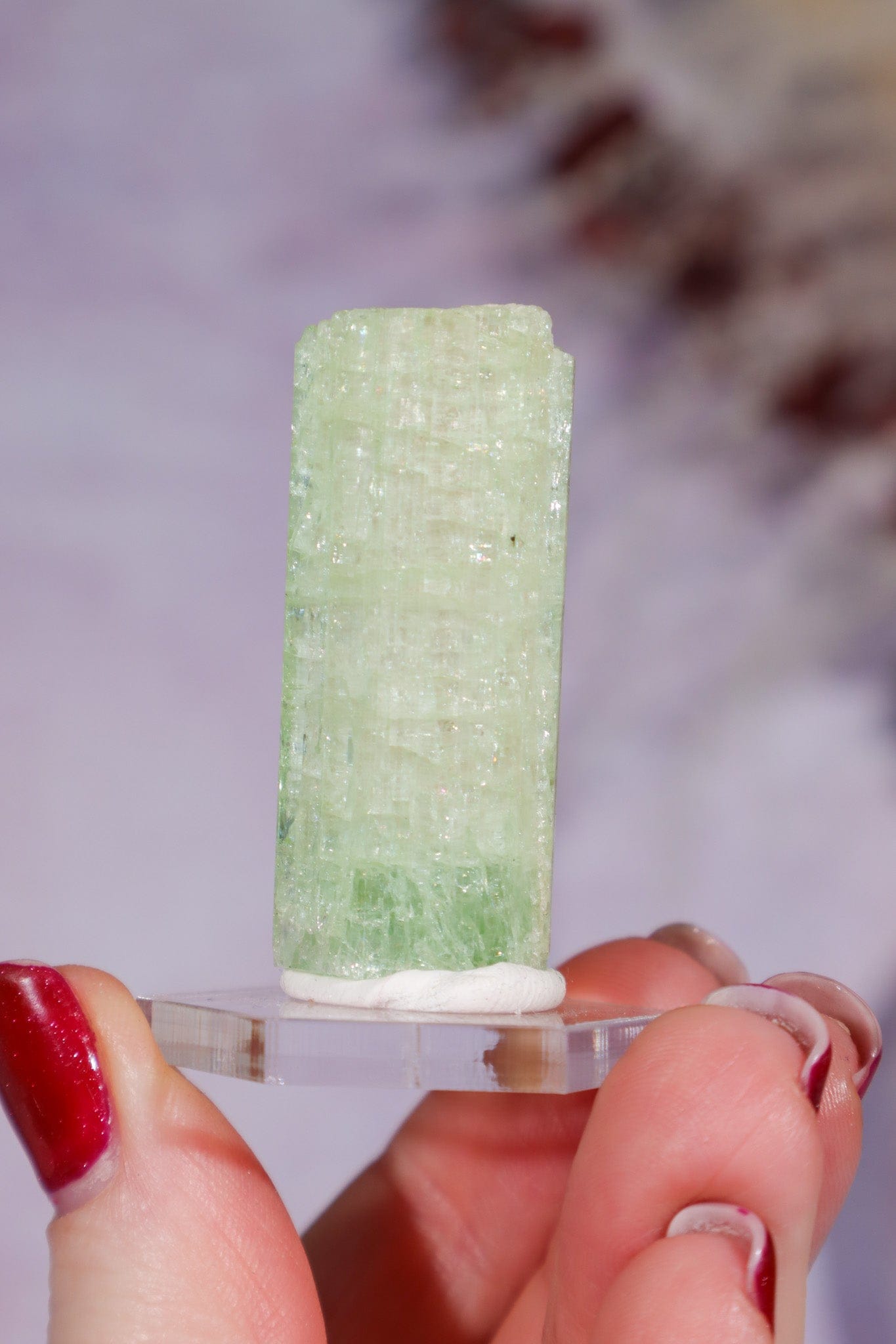 Watermelon Tourmaline Specimen 4cm Specimen Tali & Loz Crystals