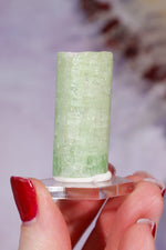 Watermelon Tourmaline Specimen 4cm Specimen Tali & Loz Crystals