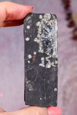 Wavellite Specimen | 70mm | Devon, UK Minerals Tali & Loz Crystals