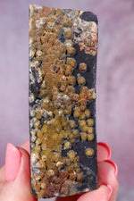 Wavellite Specimen | 70mm | Devon, UK Minerals Tali & Loz Crystals