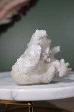 White Aragonite Cluster 7cm Sold As Seen Specimens Tali & Loz Crystals