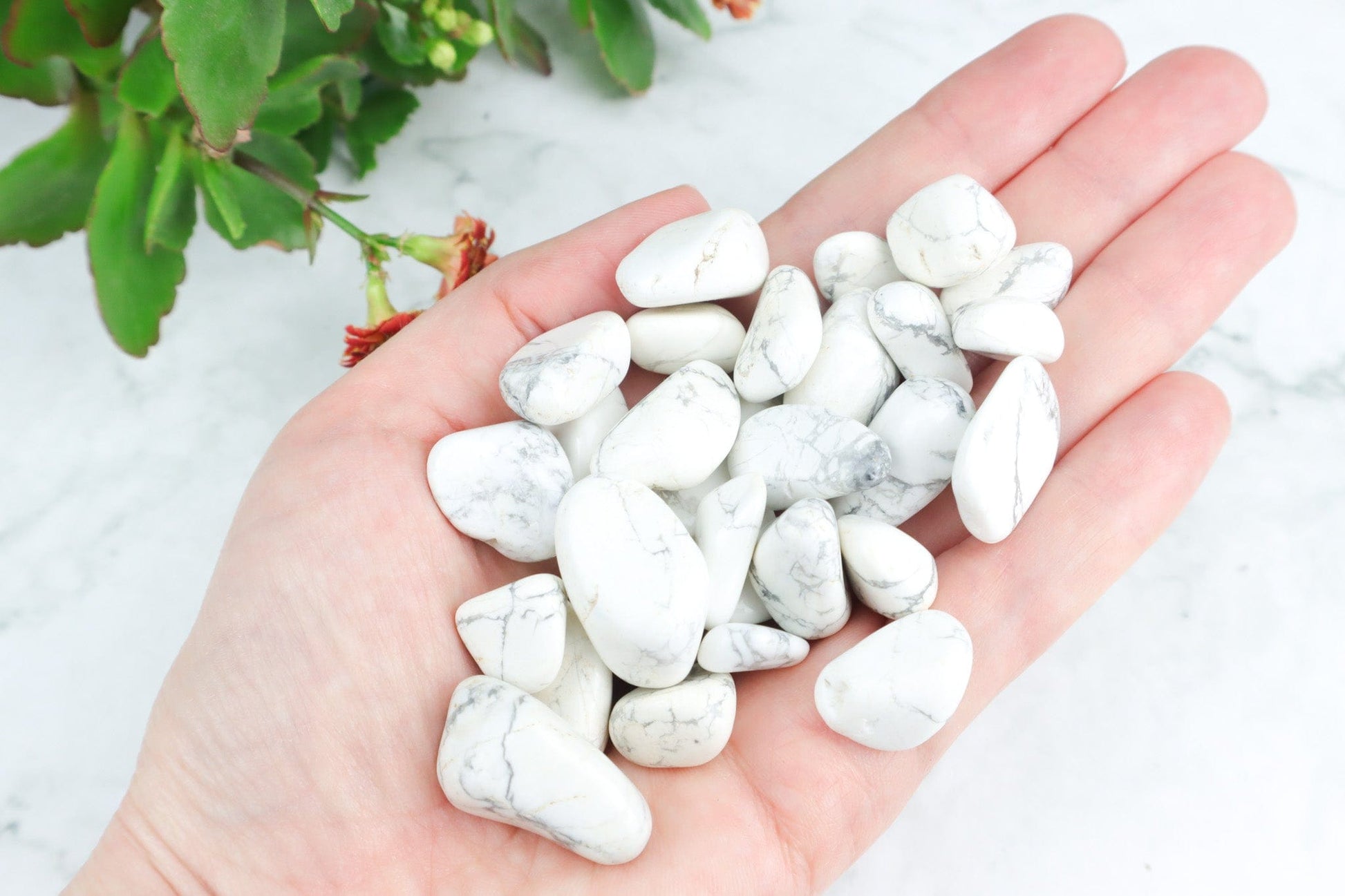 White Howlite Tumblestones - Protection/Calming Tumblestones Tali & Loz