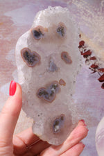 White Quartz Slice With Stalactite Eyes, Sold as Seen Rough Crystals Tali & Loz